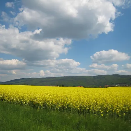 Speller ゲストハウス Vysoký Újezd