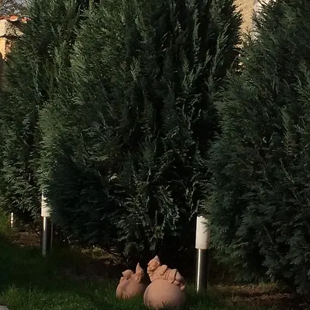 ゲストハウス Speller Vysoký Újezd