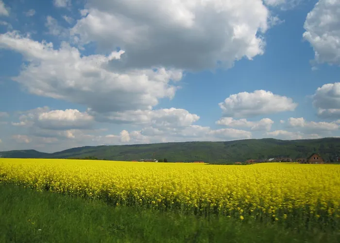 Speller 게스트하우스 Vysoký Újezd