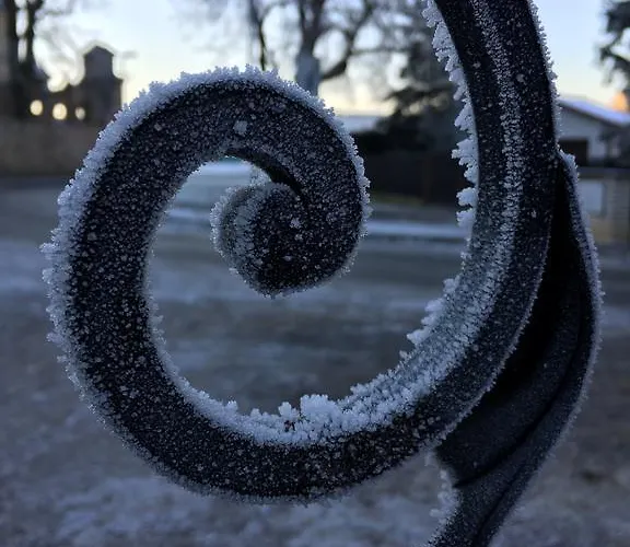 Speller بيت ضيافة 3*