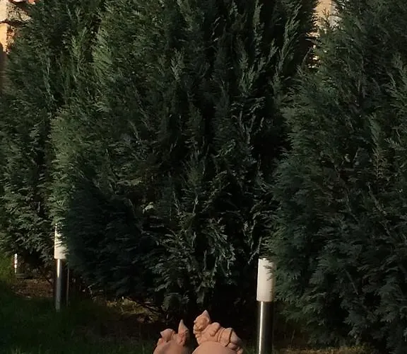 بيت ضيافة Speller Vysoký Újezd